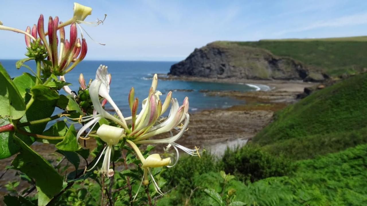 Chalet 18 Widemouth Bay Holiday Village Bude Luaran gambar